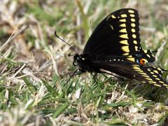 100213_Cacaxtla 126